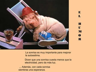 E
L
H
U
M
O
R
La sonrisa es muy importante para mejorar
la autoestima.
Dicen que una sonrisa cuesta menos que la
electricidad, pero da más luz.
... Además, con cada sonrisa
siembras una esperanza.
 
