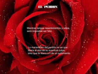 EL PERDON
Mientras tengas resentimientos y odios,
será imposible ser feliz.
Lo maravilloso del perdón no es que
libera al otro de su eventual culpa,
sino que te libera a ti de un sufrimiento.
 