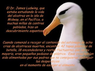 Cuando comenzó a recojer el contenido del estómago de ocho crias de alcatraces muertos, encontró: 42 tapas plásticas de botella, 18 encendedores y restos fluctuantes que, en su mayoria, eran pequeños pedazos de plástico.  Esas crias habían sido alimentadas por sus padres que no consiguieran distinguir los desperdicios en el momento de escojer el alimento. El Dr. James Ludwing, que estaba estudiando la vida del alcatraz en la isla de Midway, en el Pacífico, a muchas millas de centros poblados, hizo un descubrimiento espantoso. 