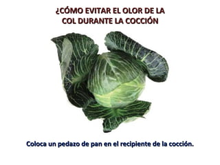 ¿CÓMO EVITAR EL OLOR DE LA¿CÓMO EVITAR EL OLOR DE LA
COL DURANTE LA COCCIÓNCOL DURANTE LA COCCIÓN
Coloca un pedazo de pan en el recipiente de la cocción.Coloca un pedazo de pan en el recipiente de la cocción.
 