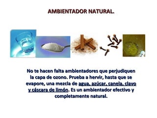 AMBIENTADOR NATURAL.AMBIENTADOR NATURAL.
No te hacen falta ambientadores que perjudiquenNo te hacen falta ambientadores que perjudiquen
la capa de ozono. Prueba a hervir, hasta que sela capa de ozono. Prueba a hervir, hasta que se
evapore, una mezcla deevapore, una mezcla de agua, azúcar, canela, clavoagua, azúcar, canela, clavo
y cáscara de limóny cáscara de limón. Es un ambientador efectivo y. Es un ambientador efectivo y
completamente natural.completamente natural.
 