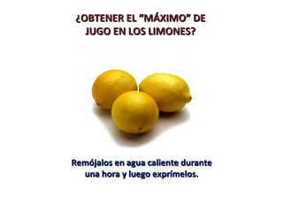 ¿OBTENER EL “MÁXIMO” DE
   JUGO EN LOS LIMONES?




Remójalos en agua caliente durante
  una hora y luego exprímelos.
 