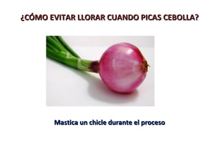 ¿CÓMO EVITAR LLORAR CUANDO PICAS CEBOLLA?




       Mastica un chicle durante el proceso
 