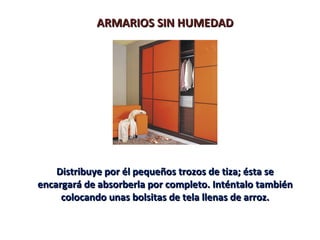 ARMARIOS SIN HUMEDAD




    Distribuye por él pequeños trozos de tiza; ésta se
encargará de absorberla por completo. Inténtalo también
     colocando unas bolsitas de tela llenas de arroz.
 