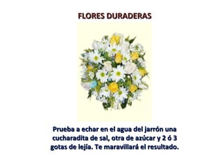 FLORES DURADERAS




 Prueba a echar en el agua del jarrón una
 cucharadita de sal, otra de azúcar y 2 ó 3
gotas de lejía. Te maravillará el resultado.
 