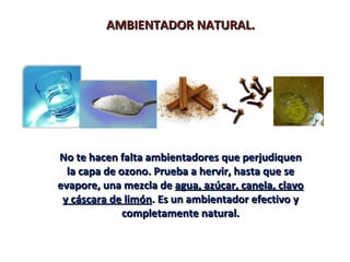 AMBIENTADOR NATURAL.




No te hacen falta ambientadores que perjudiquen
  la capa de ozono. Prueba a hervir, hasta que se
evapore, una mezcla de agua, azúcar, canela, clavo
 y cáscara de limón. Es un ambientador efectivo y
              completamente natural.
 