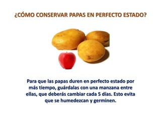 ¿CÓMO CONSERVAR PAPAS EN PERFECTO ESTADO?




   Para que las papas duren en perfecto estado por
    más tiempo, guárdalas con una manzana entre
   ellas, que deberás cambiar cada 5 días. Esto evita
            que se humedezcan y germinen.
 