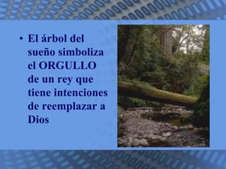 • El árbol del 
sueño simboliza 
el ORGULLO 
de un rey que 
tiene intenciones 
de reemplazar a 
Dios 
 