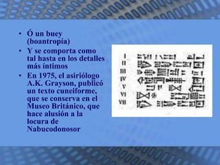 • Ó un buey 
(boantropía) 
• Y se comporta como 
tal hasta en los detalles 
más íntimos 
• En 1975, el asiriólogo 
A.K. Grayson, publicó 
un texto cuneiforme, 
que se conserva en el 
Museo Británico, que 
hace alusión a la 
locura de 
Nabucodonosor 
 
