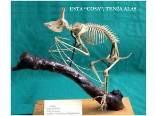 ESTA “COSA”, TENÍA ALAS… 