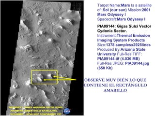 Target Name: Mars  Is a satellite of:  Sol (our sun)  Mission: 2001 Mars Odyssey I  Spacecraft: Mars Odyssey I PIA09144: Gigas Sulci Vector Cydonia Sector.   Instrument: Thermal Emission Imaging System Products  Size: 1378 samplesx2925lines  Produced By: Arizona State University  Full-Res TIFF:  PIA09144.tif (4.036 MB)  Full-Res JPEG:  PIA09144.jpg (650 Kb) OBSERVE MUY BIÉN LO QUE CONTIENE EL RECTÁNGULO AMARILLO 