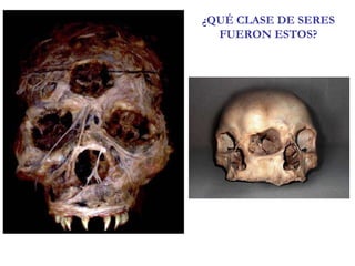 ¿QUÉ CLASE DE SERES FUERON ESTOS? 
