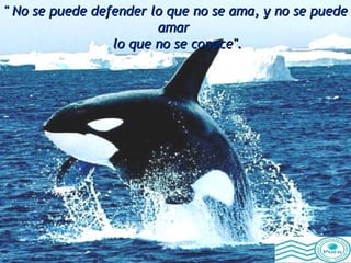 " No se puede defender lo que no se ama, y no se puede amar  lo que no se conoce". 