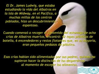 Cuando comenzó a recoger el contenido del estomago de ocho crías de Albatros muertos, encontró: 42 tapas plásticas de botella, 6 encendedores y restos flotantes que, en su mayoría, eran pequeños pedazos de plástico.  El Dr. James Ludwig, que estaba estudiando la vida del Albatros en la isla de Midway, en el Pacífico, a muchas millas de los centros poblados, hizo un descubrimiento espantoso. Esas crías habian sido alimentadas por sus padres, quienes no supieron hacer la distinción de los desperdicios al momento de escoger los alimentos. 
