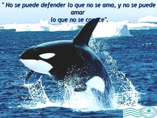 " No se puede defender lo que no se ama, y no se puede amar  lo que no se conoce". 