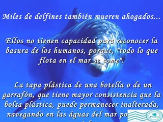 Miles de delfines también mueren ahogados...   Ellos no tienen capacidad para reconocer la basura de los humanos, porque, "todo lo que flota en el mar se come". La tapa plástica de una botella o de un garrafón, que tiene mayor consistencia que la bolsa plástica, puede permanecer inalterada, navegando en las águas del mar por mas de un siglo. 