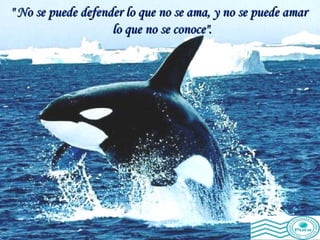 " No se puede defender lo que no se ama, y no se puede amar  lo que no se conoce". 