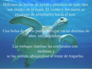 Las tortugas marinas las confunden con  medusas y se las comen, ahogándose al tratar de tragarlas .   Millones de bolsas de nylon y plásticos de todo tipo  son tirados en la costa. El viento y los mares se encargan de arrastrarlos hacia el mar.   Una bolsa de nylon puede navegar varias docenas de años  sin  degradarse. 