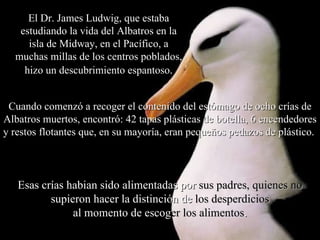 Cuando comenzó a recoger el contenido del estómago de ocho crías de Albatros muertos, encontró: 42 tapas plásticas de botella, 6 encendedores y restos flotantes que, en su mayoría, eran pequeños pedazos de plástico.  El Dr. James Ludwig, que estaba estudiando la vida del Albatros en la isla de Midway, en el Pacífico, a muchas millas de los centros poblados, hizo un descubrimiento espantoso . Esas crías habian sido alimentadas por  sus padres, quienes no  supieron hacer la distinción de  los desperdicios al momento de escog er   los alimentos . 