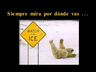 Siempre mira por dónde vas ... 