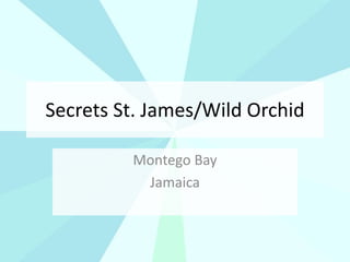 Secrets St. James/Wild Orchid
Montego Bay
Jamaica
 