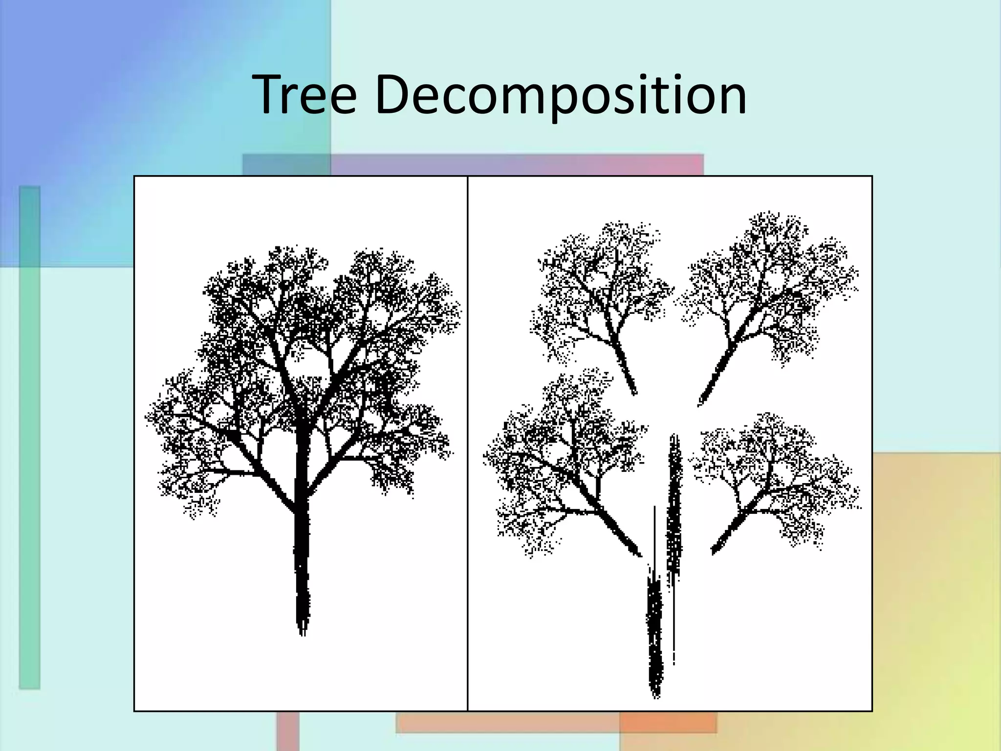 Tree Decomposition
 