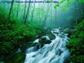 Running water does not flow back. So is life, make it happy. 