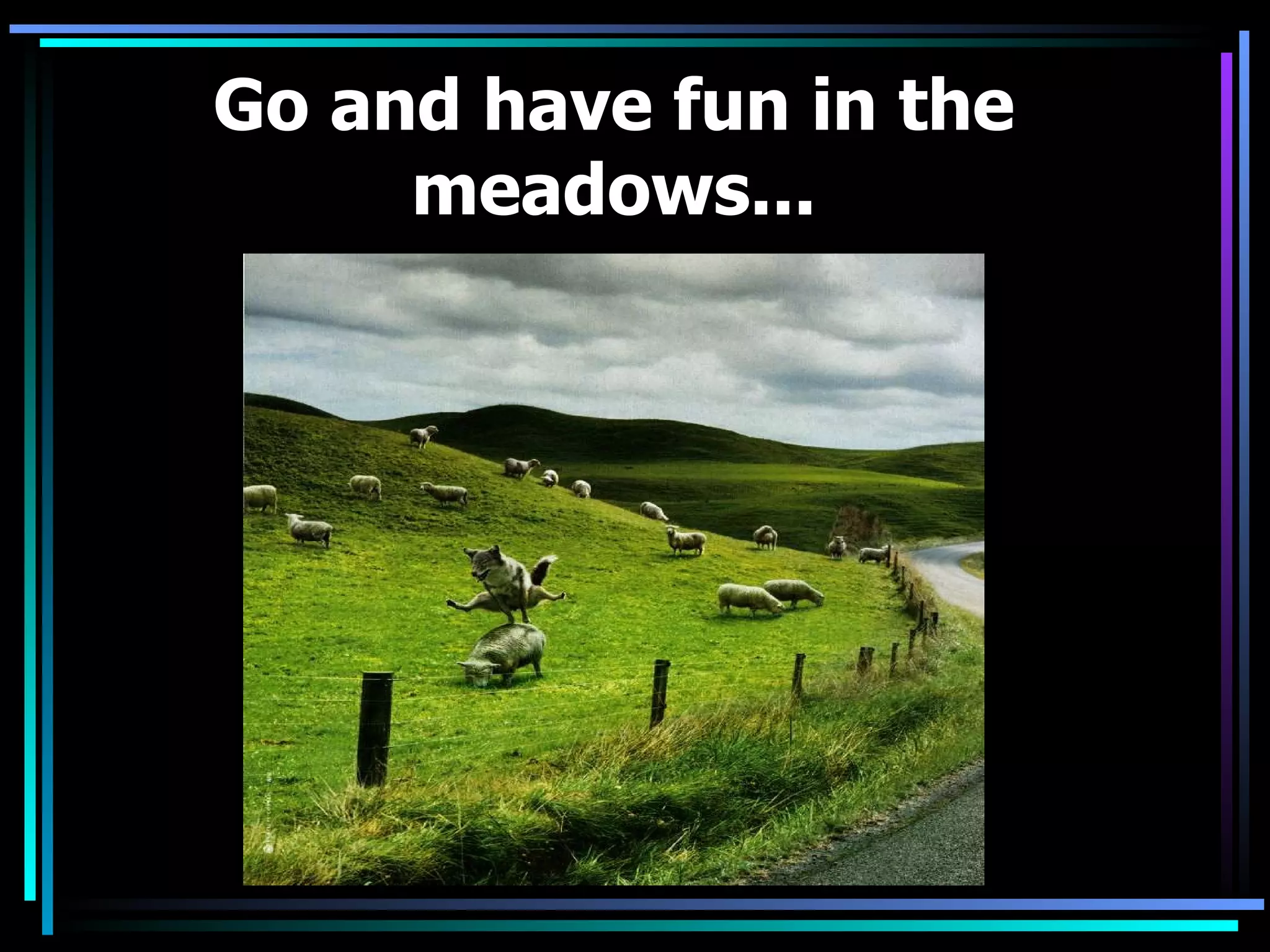 Go and have fun in the meadows...