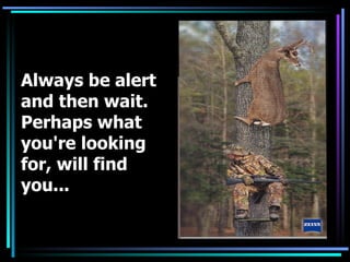 Always be alert and then wait. Perhaps what you're looking for, will find you...