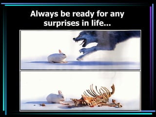 Always be ready for any surprises in life...