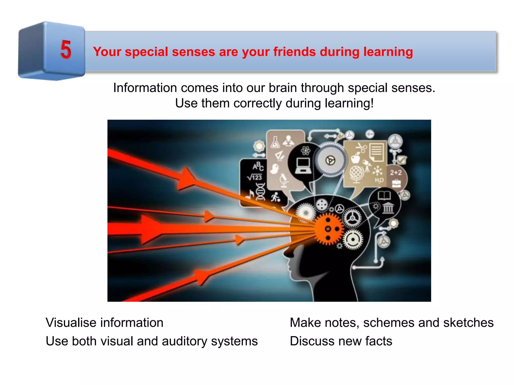 Your special senses are your friends during learning
Information comes into our brain through special senses.
Use them correctly during learning!
Visualise information
Use both visual and auditory systems
Make notes, schemes and sketches
Discuss new facts
 