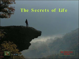 Set `Slide Show’ To View The Secrets of Life   L O UIS  2 OO 9 