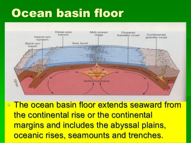 Secrets Of The Deep