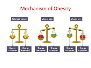 Mechanism of Obesity
 