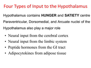 Four Types of Input to the Hypothalamus
Hypothalamus contains HUNGER and SATIETY centre
Paraventricular, Dorsomedial, and Arcuate nuclei of the
Hypothalamus also play a major role
• Neural input from the cerebral cortex
• Neural input from the limbic system
• Peptide hormones from the GI tract
• Adipocytokines from adipose tissue
 