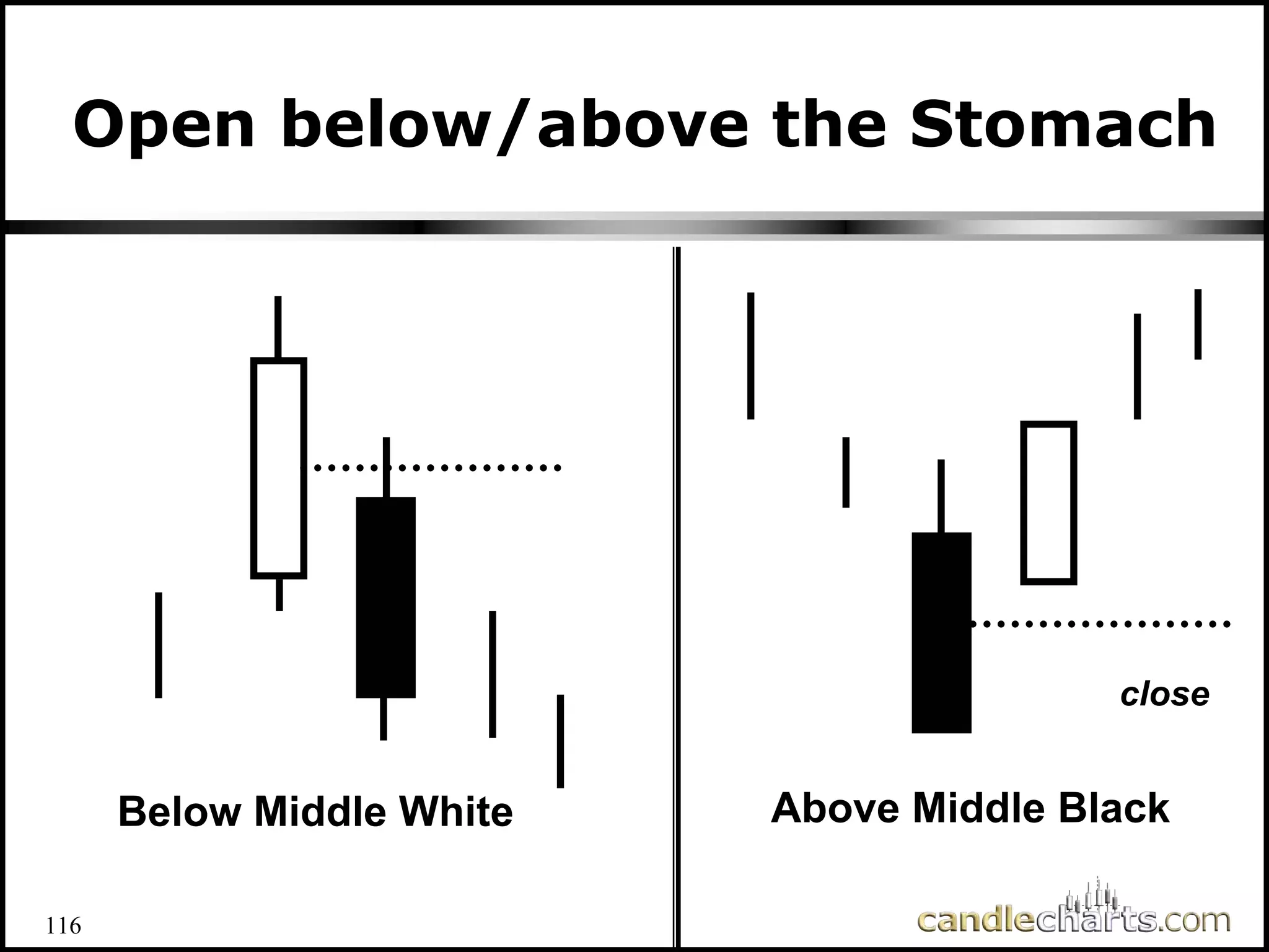116
Open below/above the Stomach
Below Middle White
Below Middle White
close
Above Middle Black
Above Middle Black
 