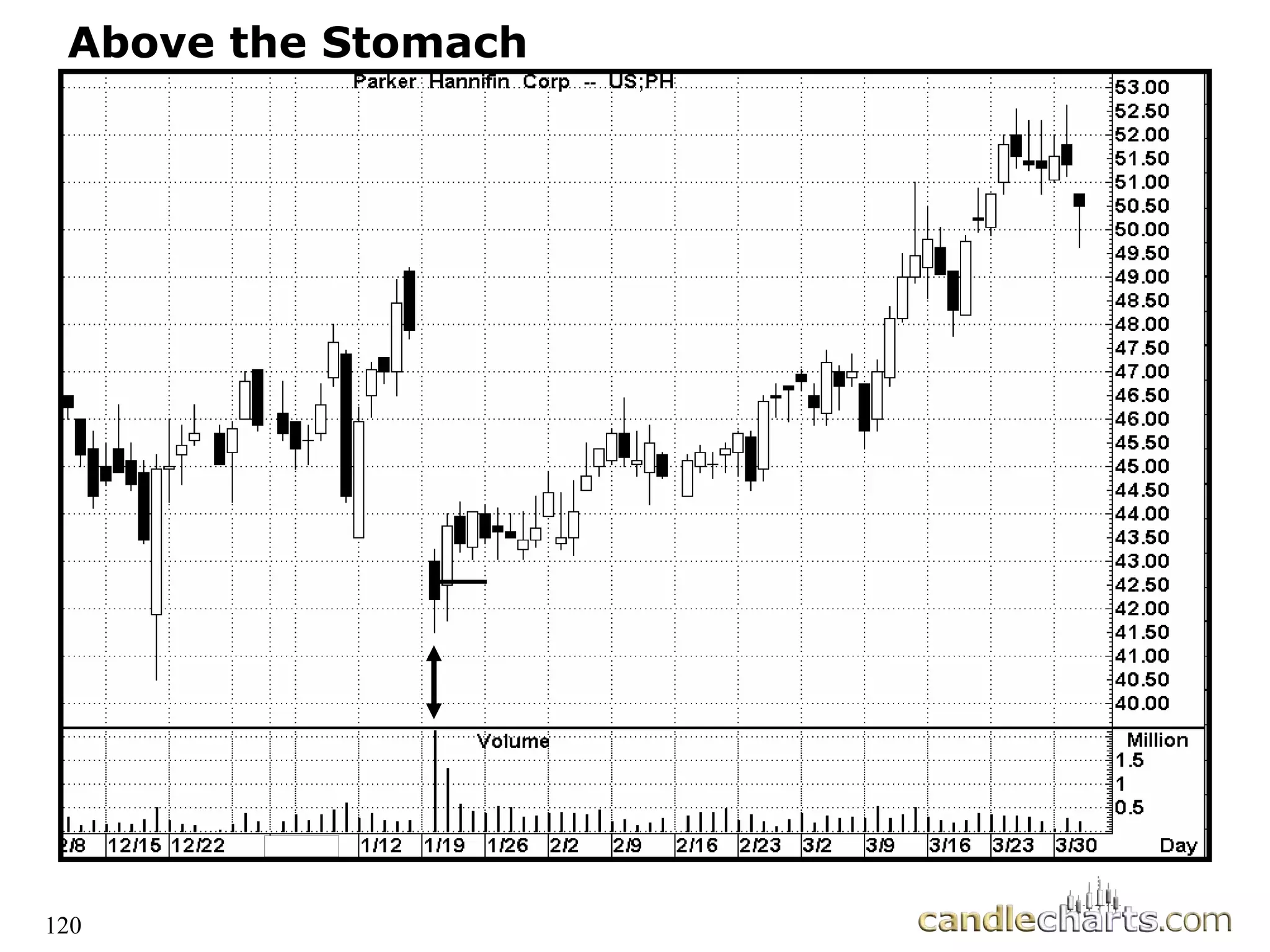 120
Above the Stomach
 