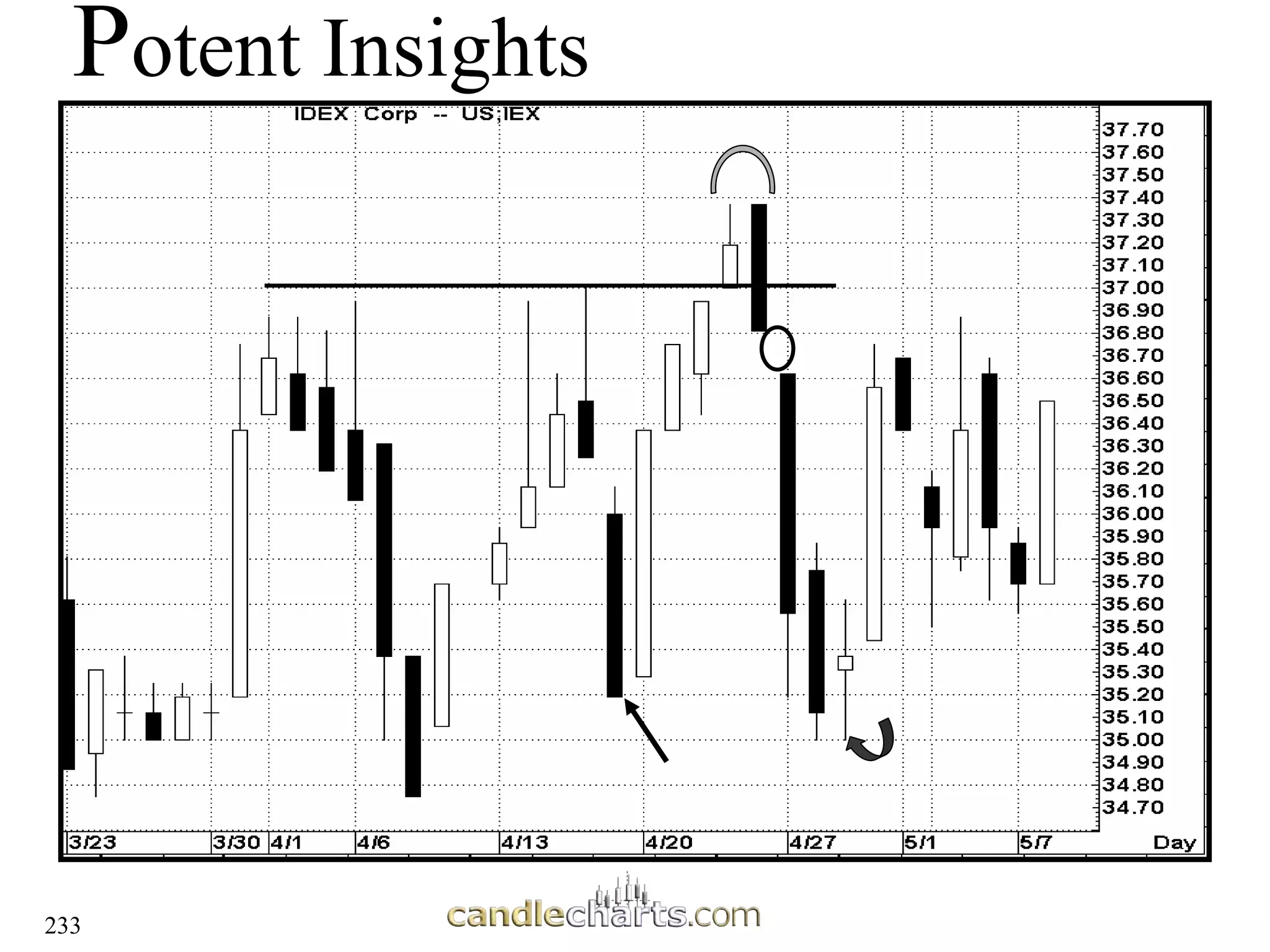 233
P
Potent Insights
otent Insights
 