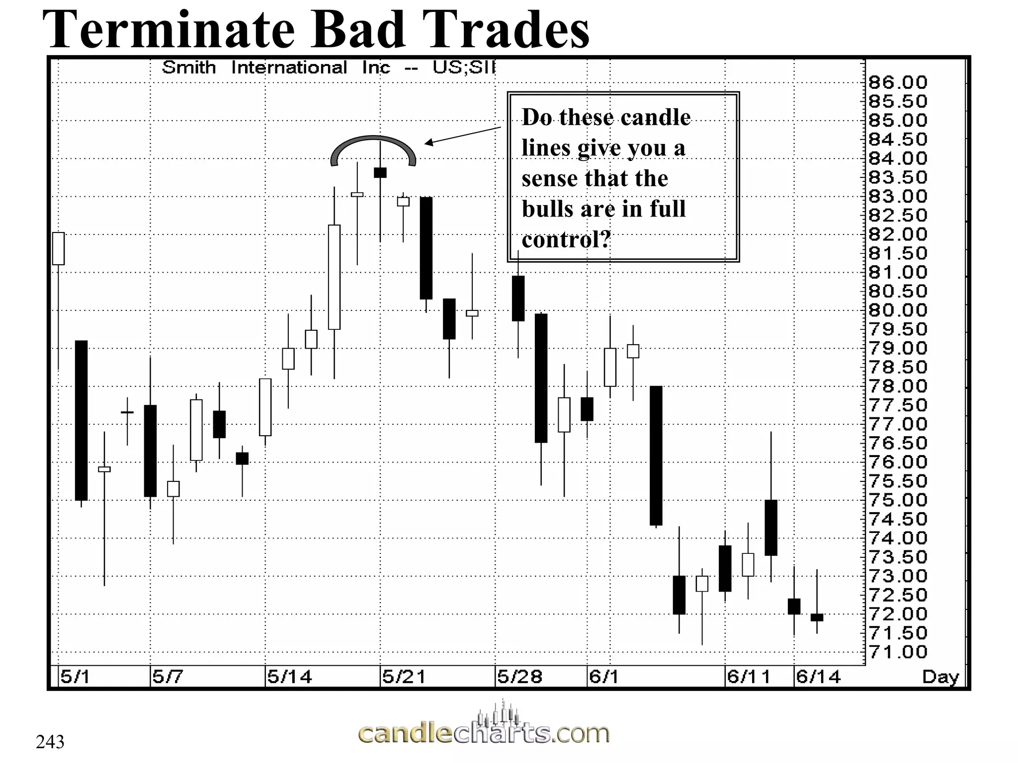 243
Terminate Bad Trades
Do these candle
lines give you a
sense that the
bulls are in full
control?
 