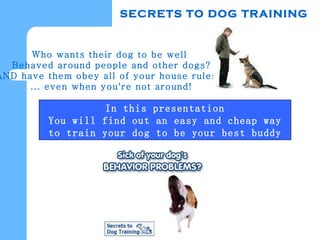 SECRETS TO DOG TRAINING Who wants their dog to be well  Behaved around people and other dogs? AND have them obey all of your house rules... ... even when you're not around! In this presentation You will find out an easy and cheap way to train your dog to be your best buddy 