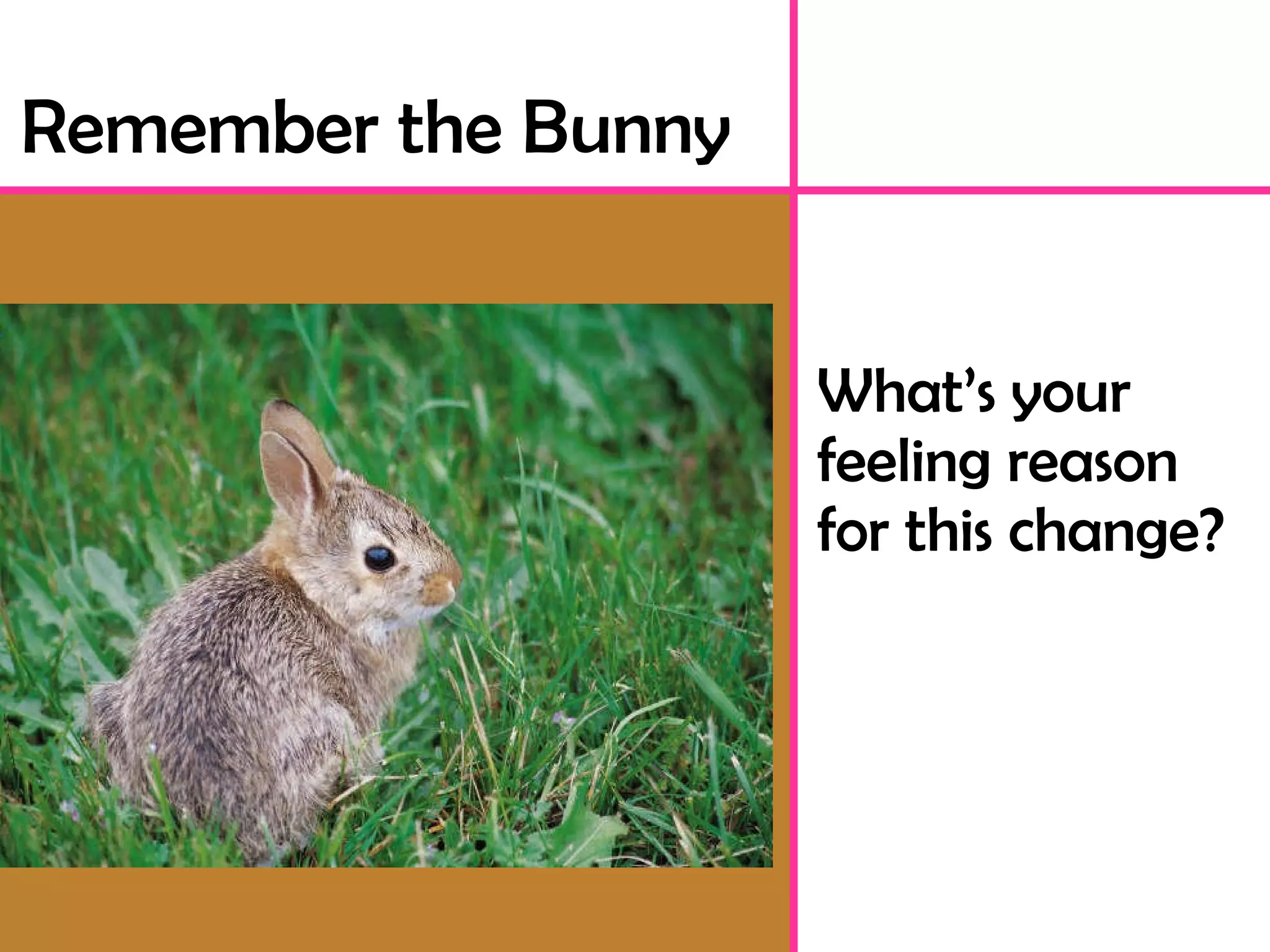 What’s your feeling reason for this change? Remember the Bunny 