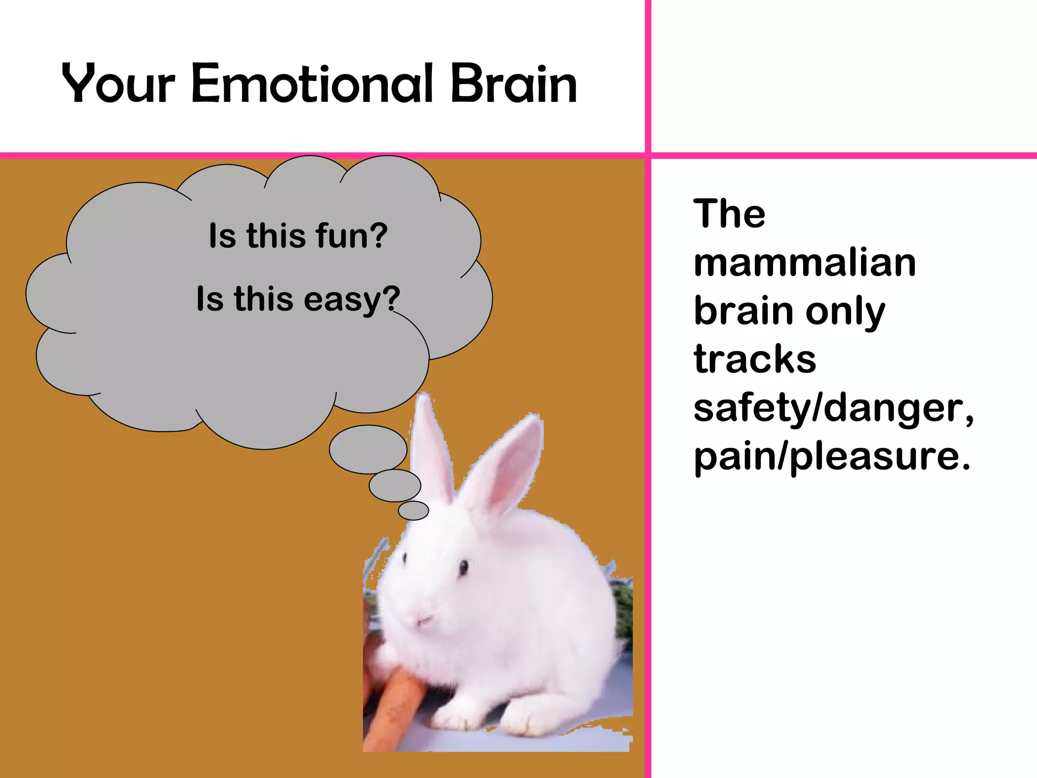 Your Emotional Brain The mammalian brain only tracks safety/danger, pain/pleasure. Is this fun? Is this easy? 