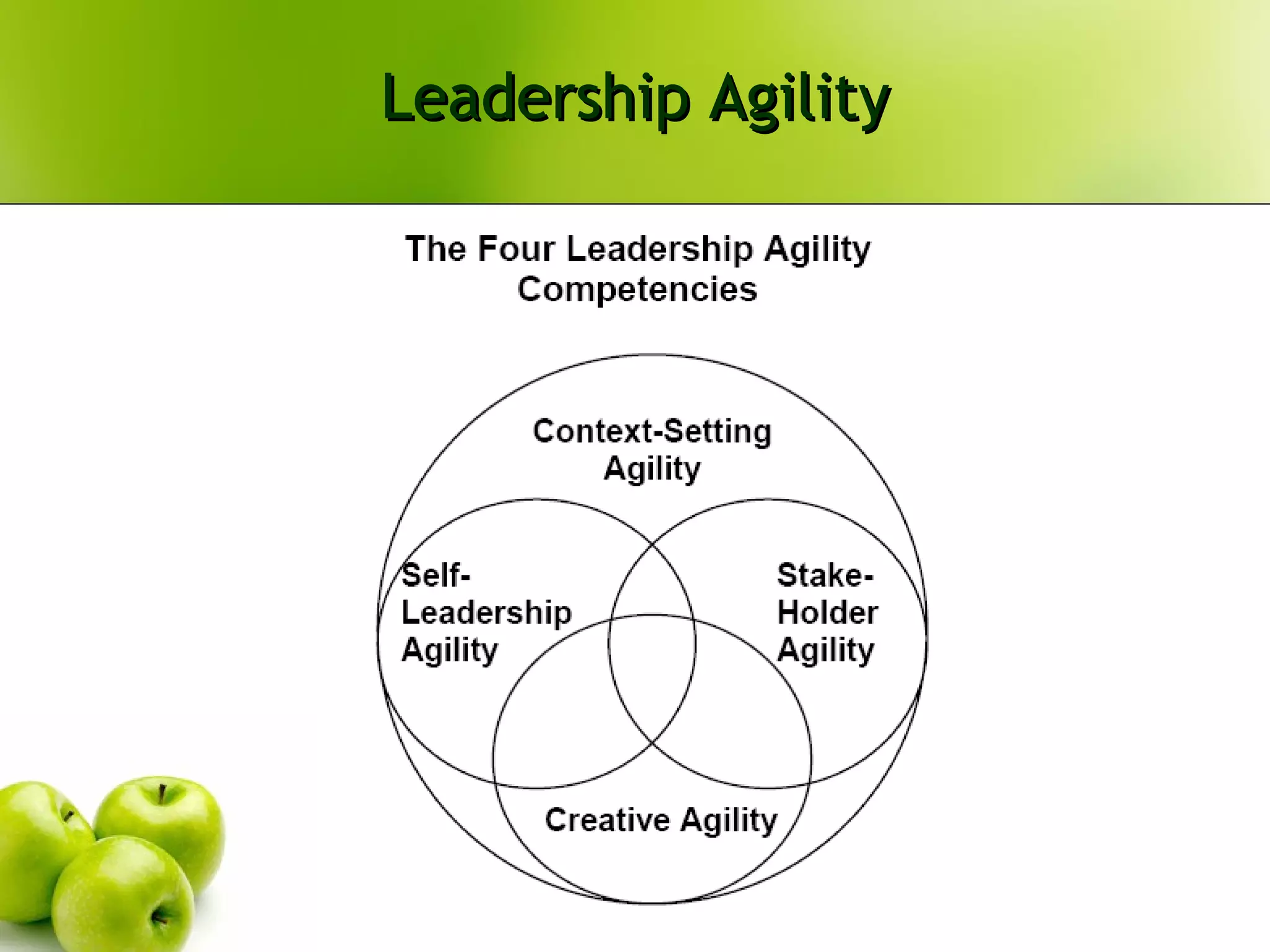 Leadership Agility 