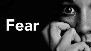 Fear is like a bully. It wants to
limit you! You need to face
your fear! Lean into your
fear! Go through your fear!
That i...