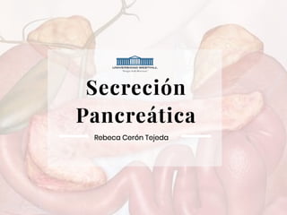 Secreción pancreática