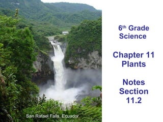 6 th  Grade Science  Chapter 11 Plants Notes Section 11.2 San Rafael Falls, Ecuador 