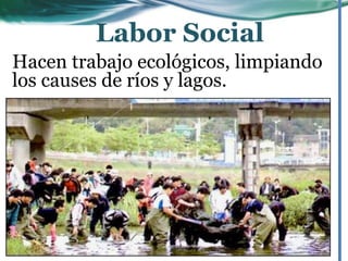Hacen trabajo ecológicos, limpiando
los causes de ríos y lagos.
Labor Social
 