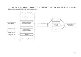 37
EFEITOS PARA FRENTE E PARA TRÁS DO PROJETO CANAL DO SERTÃO (83.650 ha em PE)
DIAGRAMA REPRESENTATIVO SIMPLIFICADO
CANAL DO SERTÃO (PE)
DESENVOLVIMENTO
SUSTENTÁVEL
Siderurgias para Tancagem e
Alcoodutos
Indústria de Equipamentos para
Irrigação
Indústria de Máquinas e
Motores (Metal Mecânica)
Indústria Química de
Fertilizantes e Defensivos
Destilarias
Gesso Agrícola e Calcário
Açucar
Agroenergia
(ETANOL)
Fruticultura
Irrigada
MEIO AMBIENTE
-PRESERVAÇÃO
-
CONSERVAÇÃO
-MITIGAÇÃO DE
IMPACTOS
 