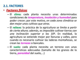 2.1. FACTORES
• Factores físicos
– El clima: cada planta necesita unas determinadas
condiciones de temperatura, insolación y humedad para
poder crecer; por este motivo, en cada zona climática se
dan mejor unos cultivos que otros.
– El relieve: la práctica de la agricultura se limita a partir
de cierta altura; además, es imposible cultivar tierras con
una inclinación superior a los 10º. En realidad, la
agricultura se extiende mejor por llanuras y valles, pero
cuando es necesario cultivar las laderas montañosas, se
crean las terrazas o bancales.
– El suelo: cada planta necesita un terreno con unas
características adecuadas (tamaño de los granos de la
tierra, porosidad del suelo,...)
 