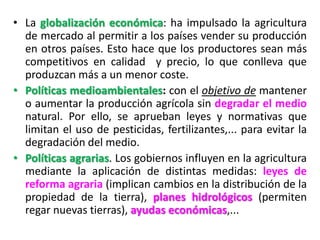 • La globalización económica: ha impulsado la agricultura
de mercado al permitir a los países vender su producción
en otros países. Esto hace que los productores sean más
competitivos en calidad y precio, lo que conlleva que
produzcan más a un menor coste.
• Políticas medioambientales: con el objetivo de mantener
o aumentar la producción agrícola sin degradar el medio
natural. Por ello, se aprueban leyes y normativas que
limitan el uso de pesticidas, fertilizantes,... para evitar la
degradación del medio.
• Políticas agrarias. Los gobiernos influyen en la agricultura
mediante la aplicación de distintas medidas: leyes de
reforma agraria (implican cambios en la distribución de la
propiedad de la tierra), planes hidrológicos (permiten
regar nuevas tierras), ayudas económicas,...
 